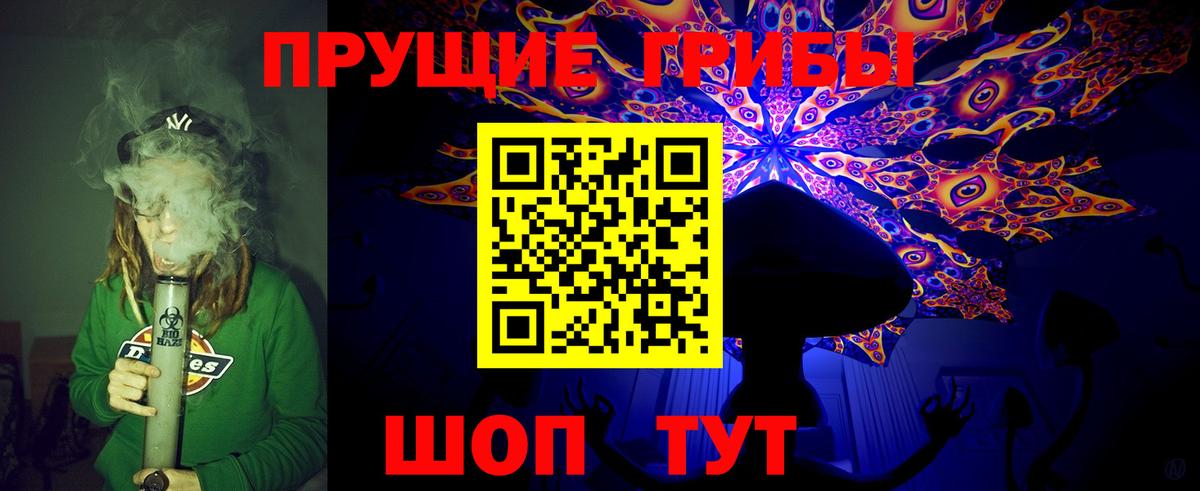 Серов  Галлюциногенные грибы Psilocybine cubensis  Псилоцибиновые грибы Psilocybine cubensis  Вход с VPN 