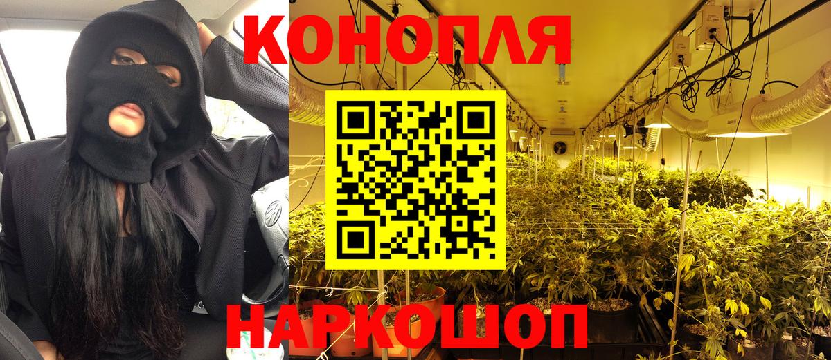 Конопля сатива  Вход с VPN  Серов  Конопля AK-47  Конопля Amnesia 